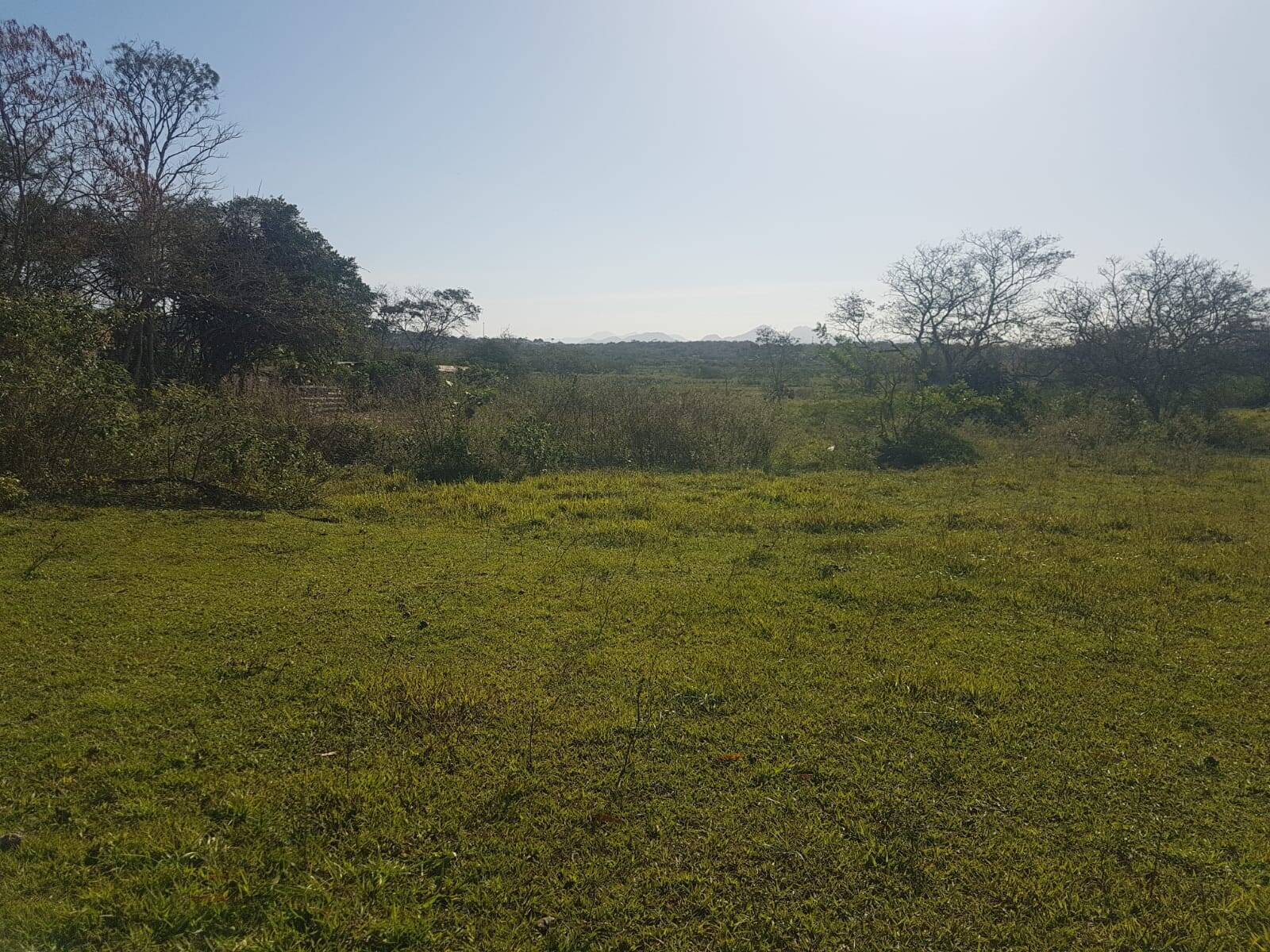 #60.342-A - Sítio para Venda em Araruama - RJ