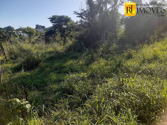 Terreno para Venda em São Pedro da Aldeia - 4