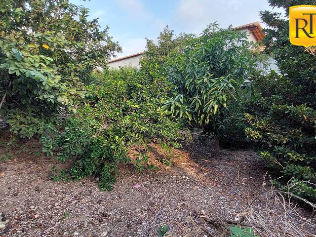 Terreno para Venda em São Pedro da Aldeia - 4