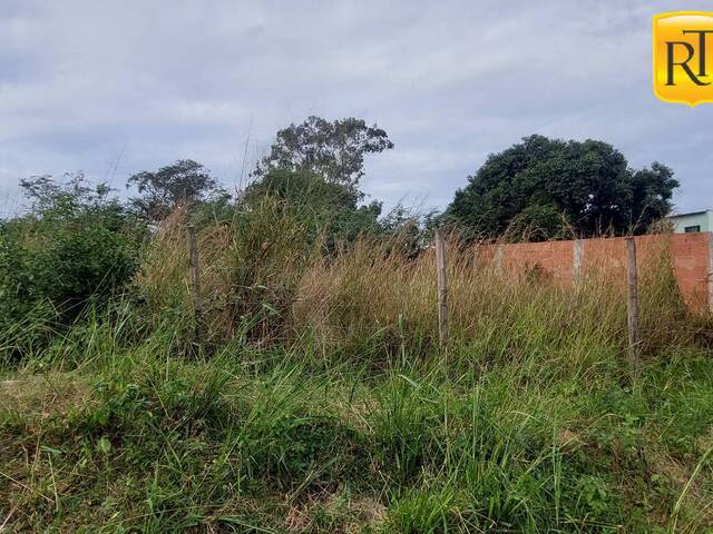 #7067 - Terreno para Venda em São Pedro da Aldeia - RJ - 1