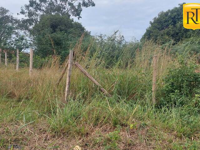 Terreno para Venda em São Pedro da Aldeia - 4