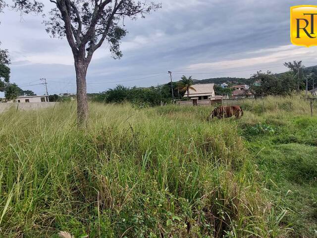 Terreno para Venda em São Pedro da Aldeia - 5