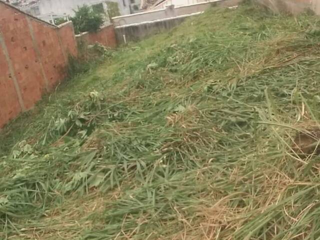 Venda em Campo Redondo - São Pedro da Aldeia