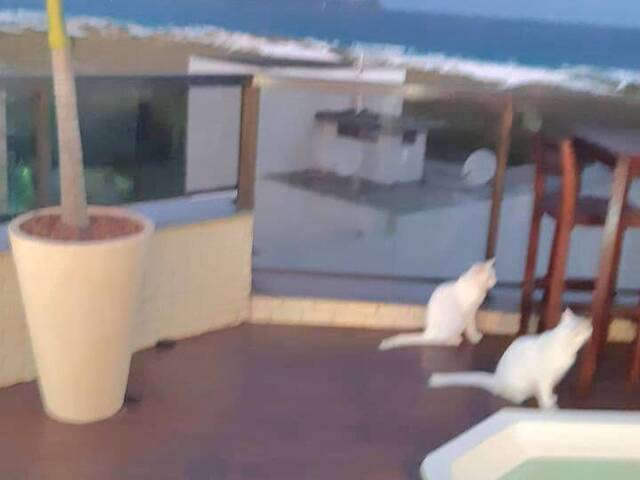 Cobertura para Venda em Cabo Frio - 5
