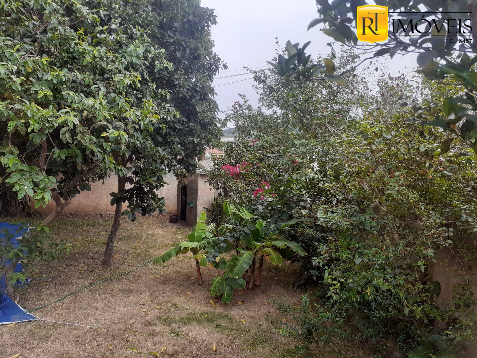 Casa à venda e aluguel com 4 quartos, 263m² - Foto 7