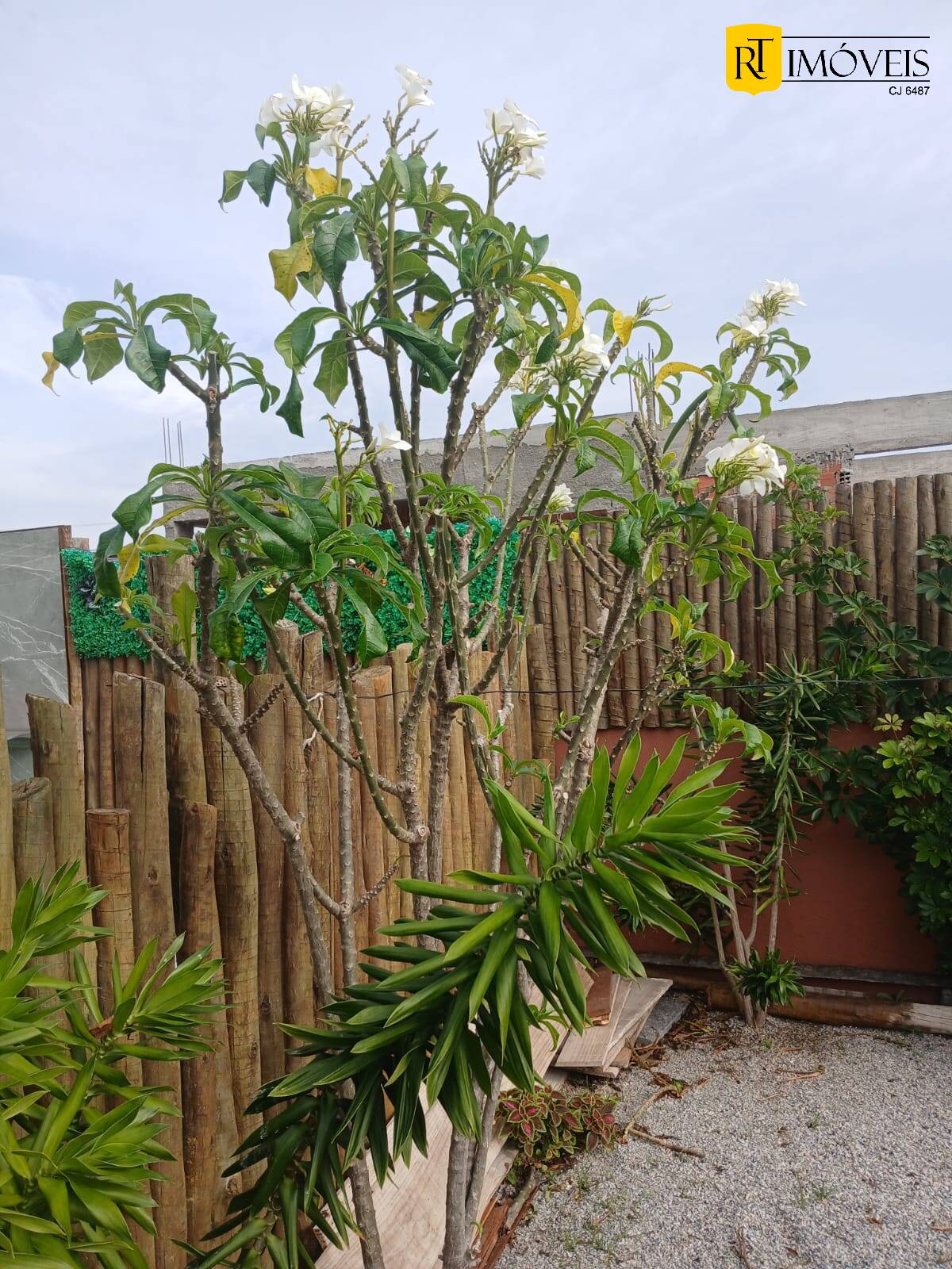 Casa, 2 quartos, 160 m² - Foto 10